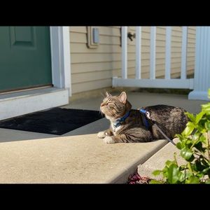 Meet your Posher, Deborah